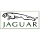 JAGUAR (Logo) Embroidered Patch