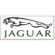 Parche Bordado JAGUAR (Fondo BLANCO)