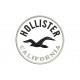 HOLLISTER (Circle Logo) Embroidered Patch