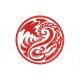 AMAZING DRAGON Embroidered Patch
