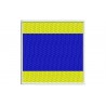 ICS DELTA FLAG Embroidered Patch