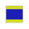 ICS DELTA FLAG Embroidered Patch