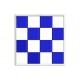 Parche Bordado Bandera "N" ICS November