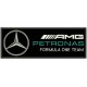 MERCEDES F1 PETRONAS Embroidered Patch