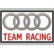 AUDI Custom Embroidered Patch. WHITE Background.